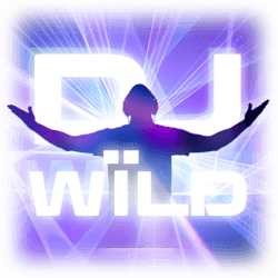 dj wild slot